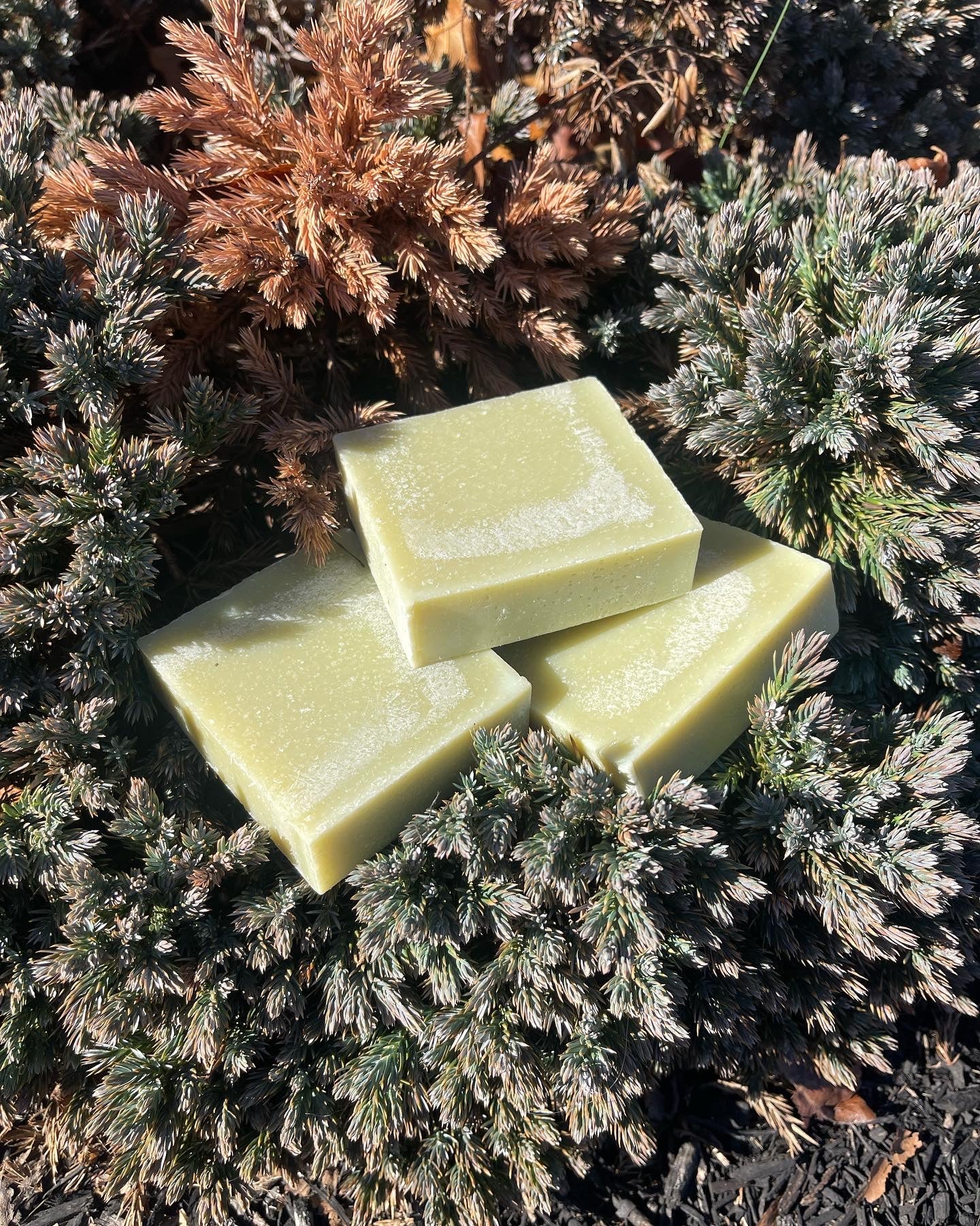 EMERALD- Plant Based Organic Soap